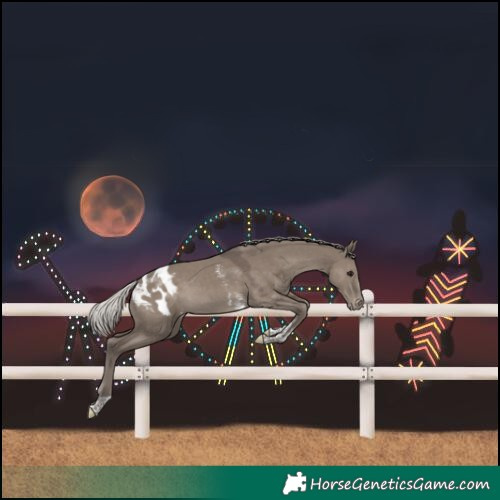 Horse Color:Silver Grullo Sabino Tobiano Blanket