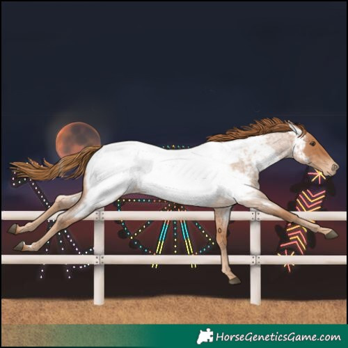 Horse Color:Unknown 
