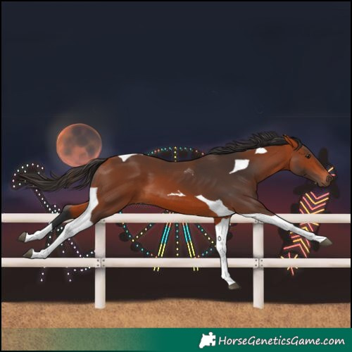Horse Color:Unknown 