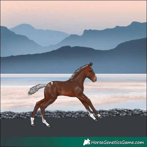 Horse Color:Silver Bay Tobiano Skewed LP Spotted 