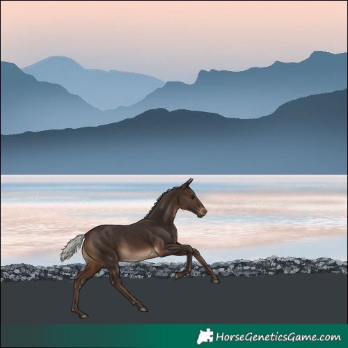 Horse Color:Silver Brown