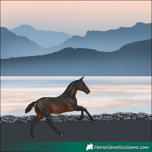 Horse Color:Brown 