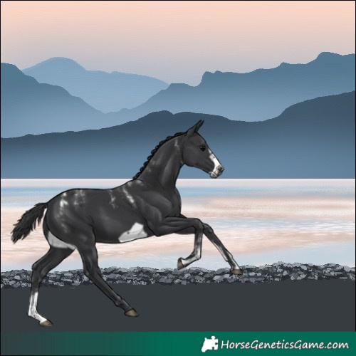Horse Color:Powder White Black Frame 