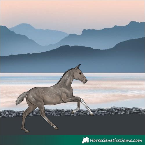 Horse Color:Silver Black Tobiano