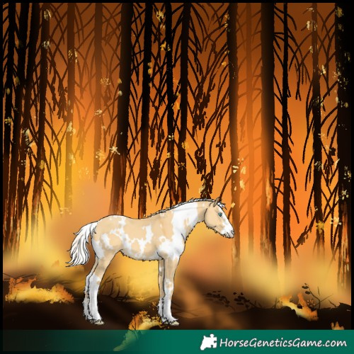 Horse Color:White Spotted Silver Sable Cream Champagne Dun 