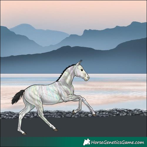 Horse Color:Blue Onyx Ice Roan