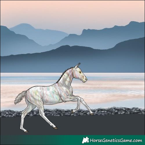 Horse Color:White Spotted Silver Bay Ice Tobiano 