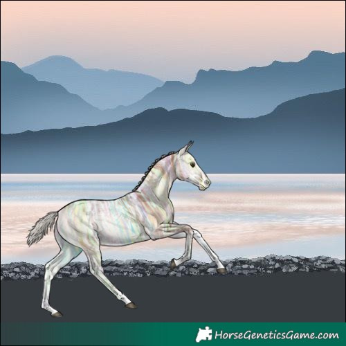 Horse Color:Silver Brown Ice Onyx Tobiano