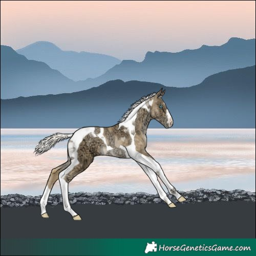 Horse Color:Plaid  Silver Buckskin Ice Pearl Tobiano 