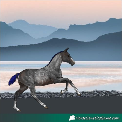 Horse Color:Painted Brown