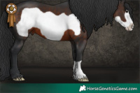 Horse Color:Brown Frame 