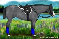 Horse Color:Blue Roan Splash 