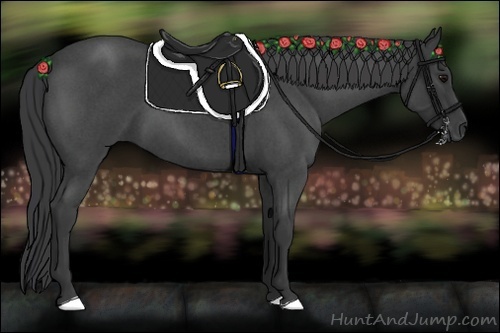 Horse Color:Blue Roan