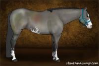 Horse Color:Grullo Sabino 