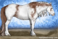 Horse Color:White Spotted Chestnut Sabino 