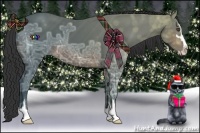 Horse Color:Brown Ice Sabino 