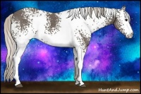 Horse Color:White Spotted Silver Black 