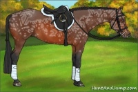 Horse Color:Bay Ice