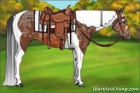 Horse Color:Bay Ice Tobiano 