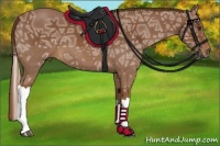 Horse Color:Chestnut Ice Tobiano 