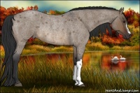 Horse Color:Brown Roan Dun Rabicano
