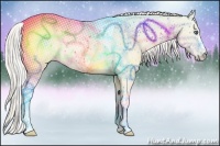 Horse Color:Cremello Dun Tobiano 