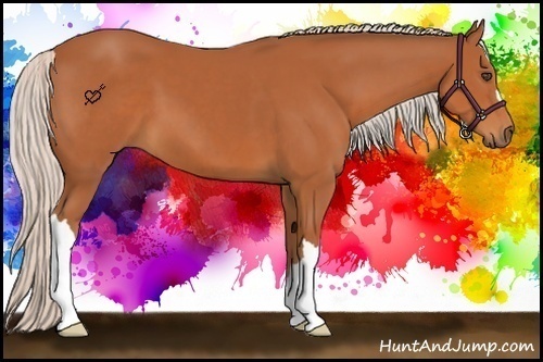 Horse Color:Silver Bay 