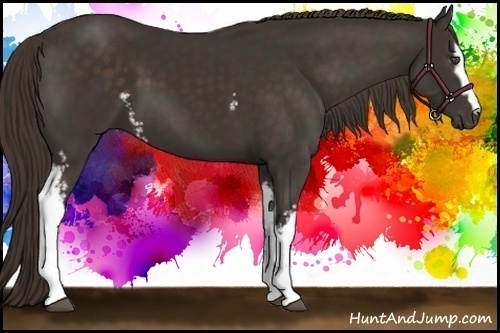 Horse Color:White Spotted Liver Chestnut Sabino