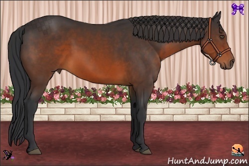 Horse Color:Brown 