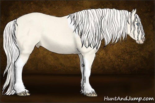 Horse Color:Cremello Dun Tobiano 