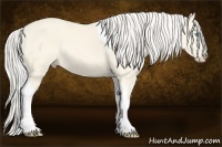 Horse Color:Cremello Dun Tobiano