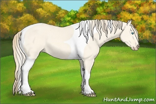 Horse Color:Perlino Dun Tobiano 