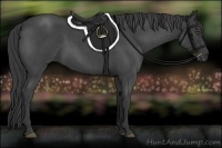 Horse Color:Blue Roan 
