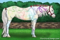 Horse Color:Cremello Dun Tobiano 