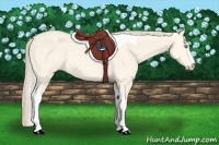 Horse Color:Perlino Dun Tobiano
