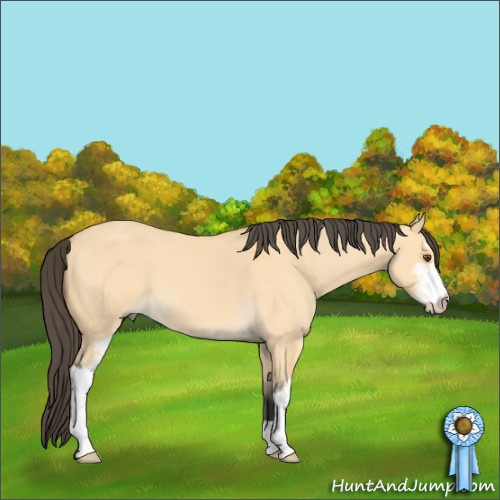 Horse Color:Buckskin Dun Sabino
