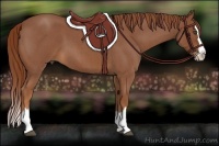 Horse Color:Red Roan Splash