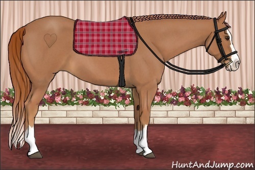 Horse Color:Red Roan Splash 