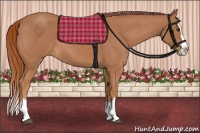 Horse Color:Red Roan Splash 