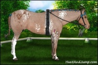 Horse Color:White Spotted Chestnut Varnish 