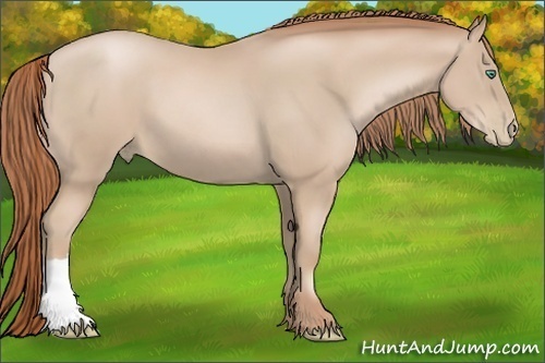 Horse Color:Smoky Black Pearl 