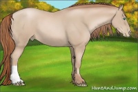 Horse Color:Smoky Black Pearl 