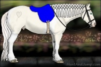 Horse Color:Cremello Dun Tobiano