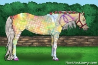 Horse Color:Silver Buckskin Dun Tobiano 