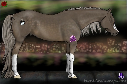 Horse Color:Chocolate Palomino 