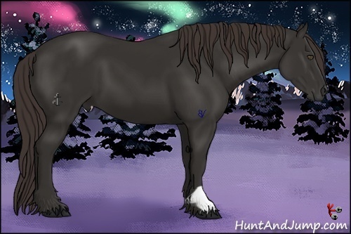 Horse Color:Liver Chestnut Frame 