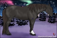 Horse Color:Liver Chestnut Frame 