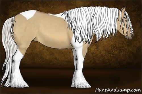 Horse Color:Silver Buckskin Dun Tobiano 