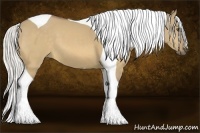 Horse Color:Silver Buckskin Dun Tobiano