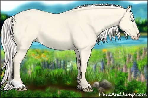 Horse Color:Cremello Dun Tobiano